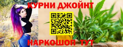 гидра Кингисепп