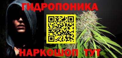 гидра Кингисепп