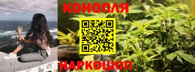 гидра Кингисепп