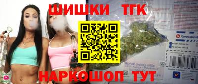 гидра Кингисепп