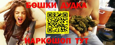 гидра Кингисепп