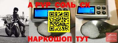 гидра Кингисепп