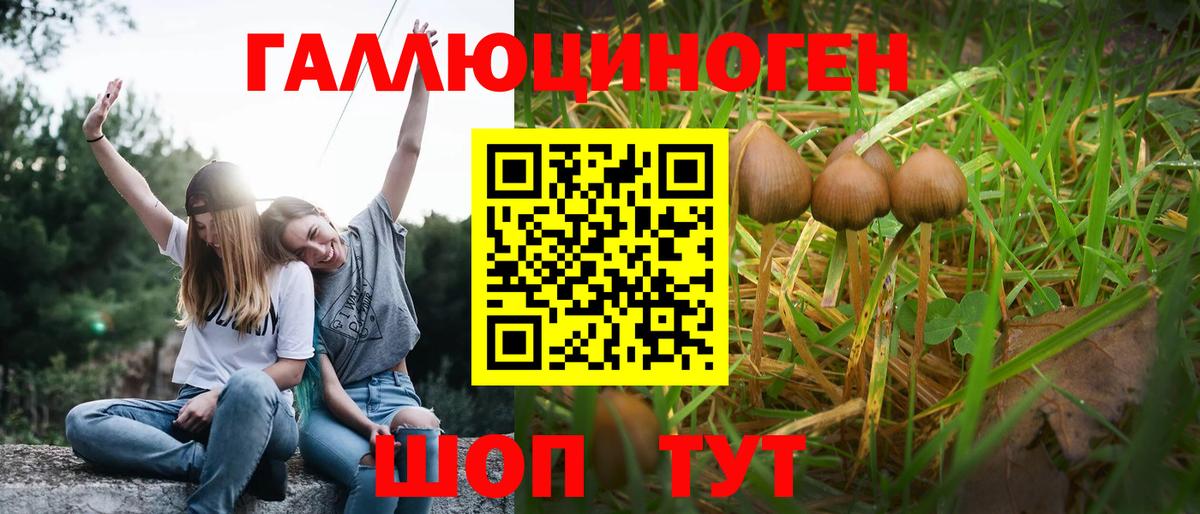 Галлюциногенные грибы Psilocybine cubensis  сколько стоит  Вход с VPN  Карталы  Галлюциногенные грибы Psilocybine cubensis 