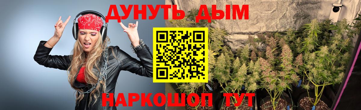 Бошки Шишки ГИДРОПОН  Бошки марихуана конопля  Вход с VPN  Карталы  Марихуана SATIVA & INDICA 